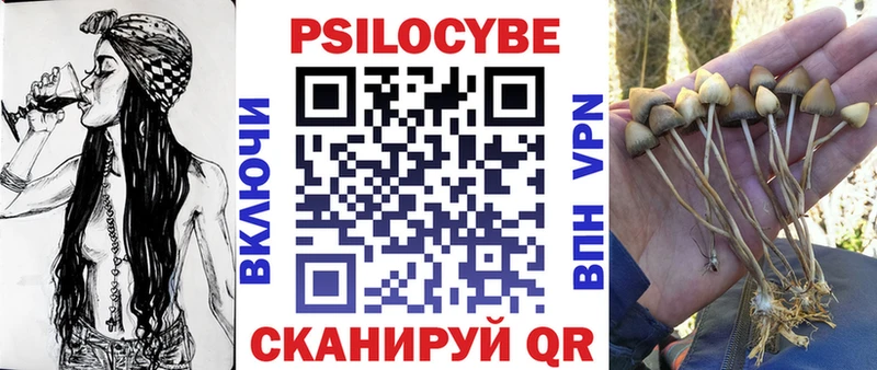 Псилоцибиновые грибы GOLDEN TEACHER  закладки  Алексин 